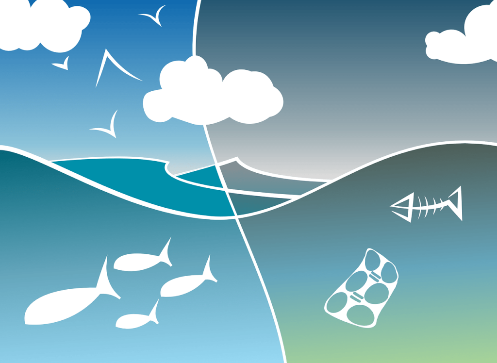 COVID-19: A Long Pending Break for Nature?
