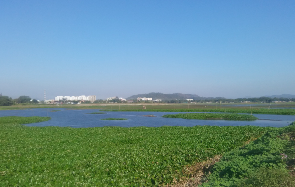 Going, going, gone: Deepor Beel