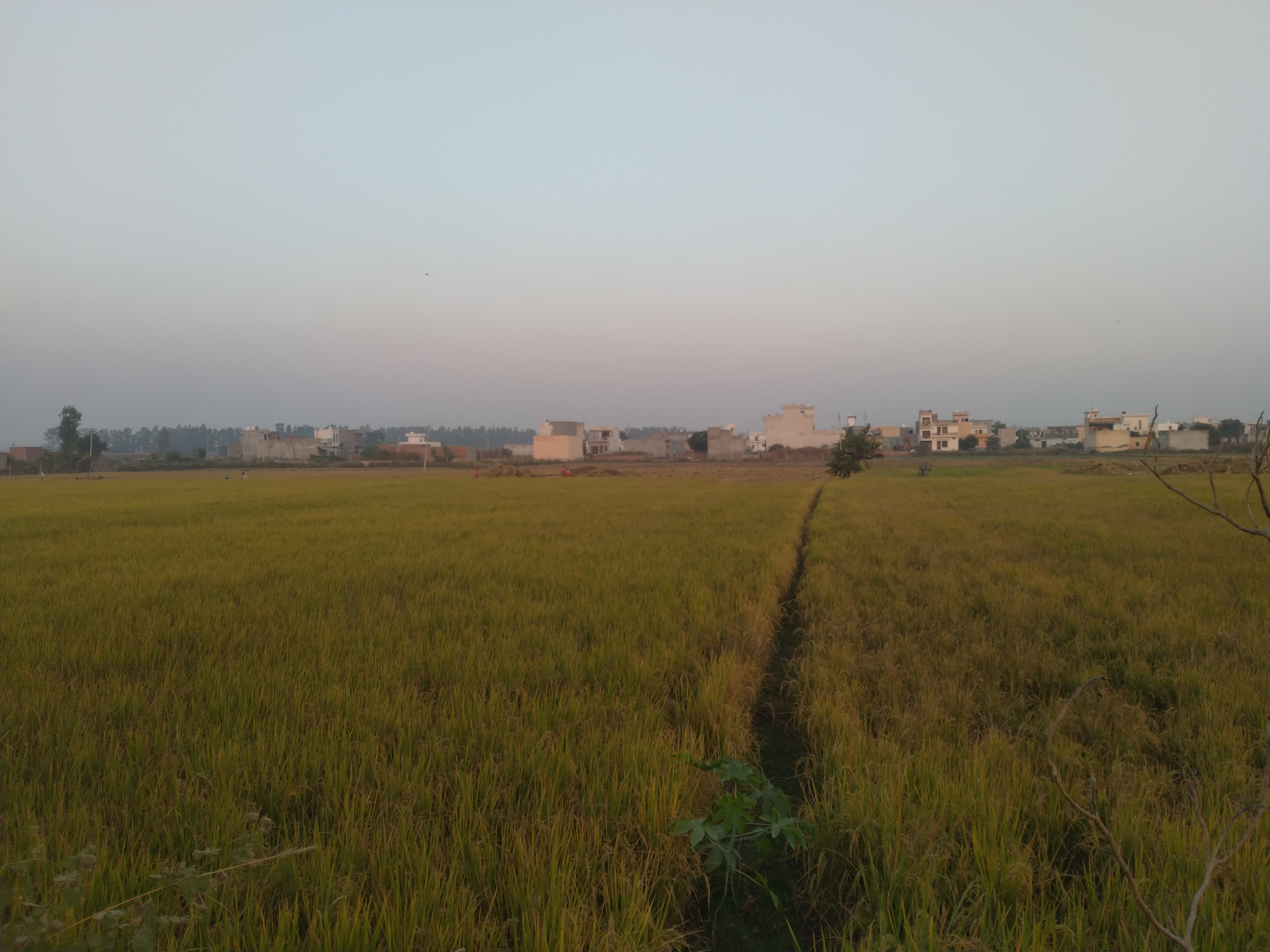 The Peri-Urban Interface: Development and land-use Politics