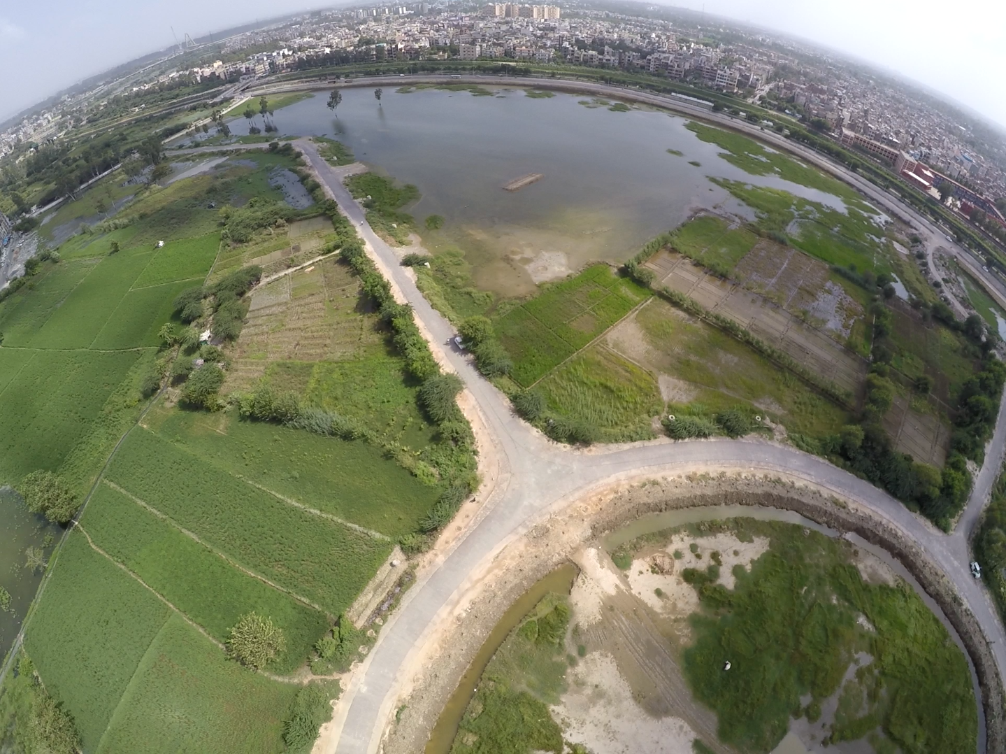 Huge Opportunity and Even Bigger Challenges: Wetland Restoration in the Urban