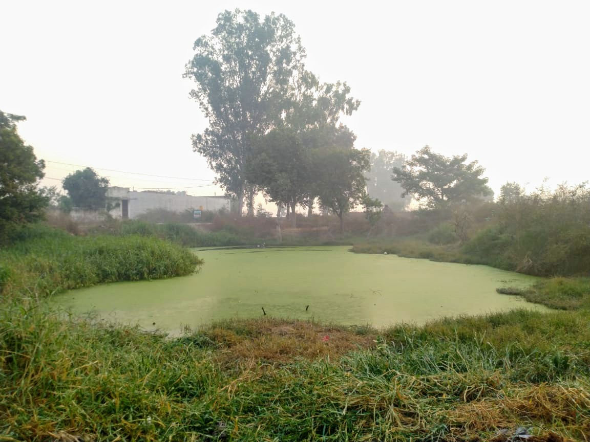 Whose City? Whose Commons?: Urbanization and the fate of (Peri) Urban Commons in India