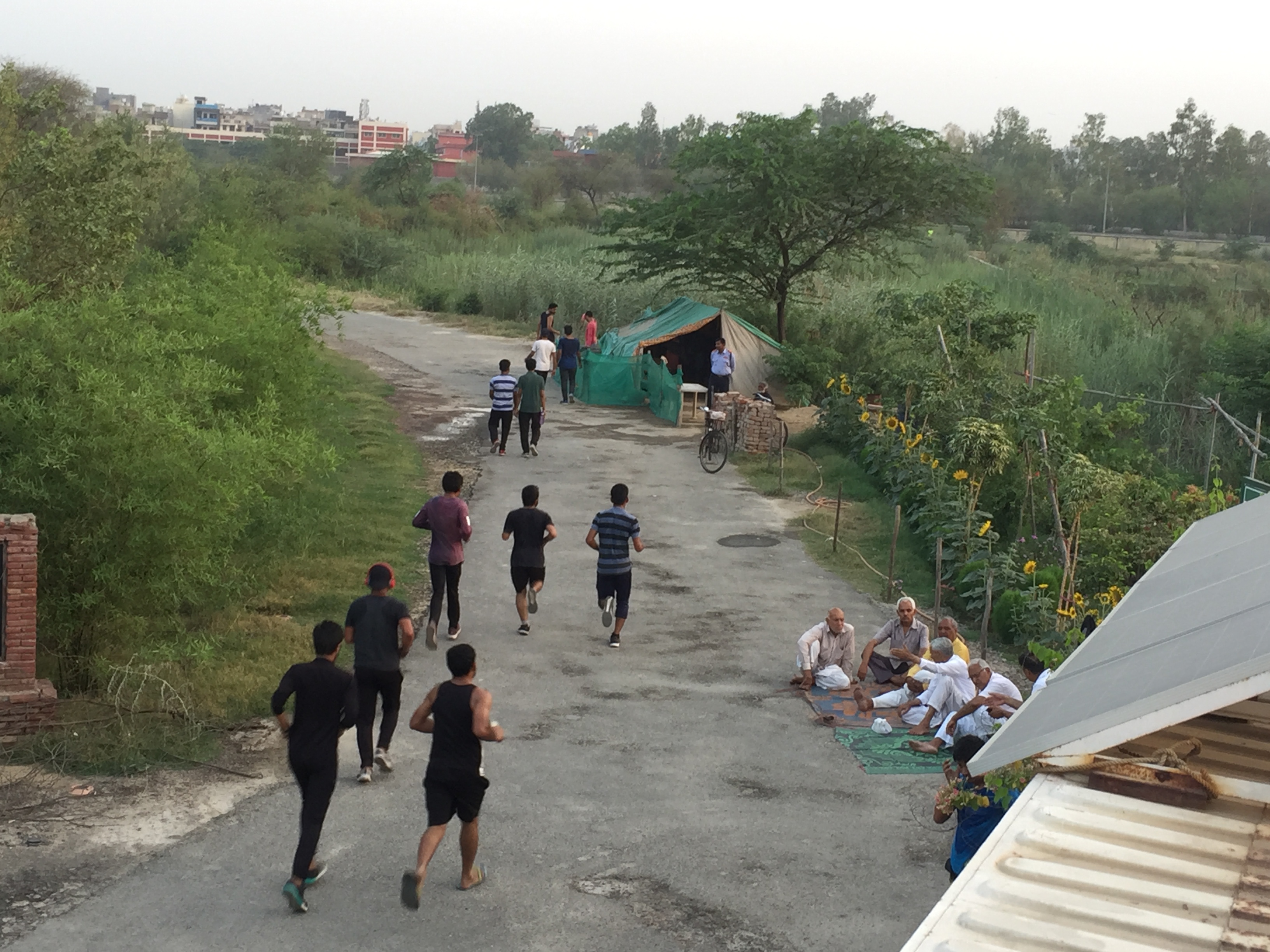Urban Green Spaces and Human Health