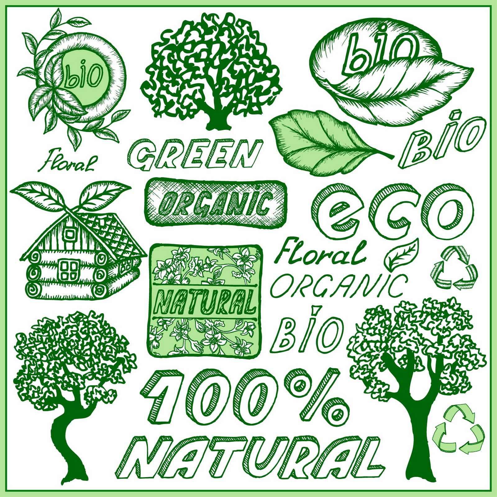 Green or Greenwashing?