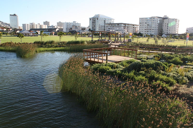 On the Aesthetics of Urban Nature