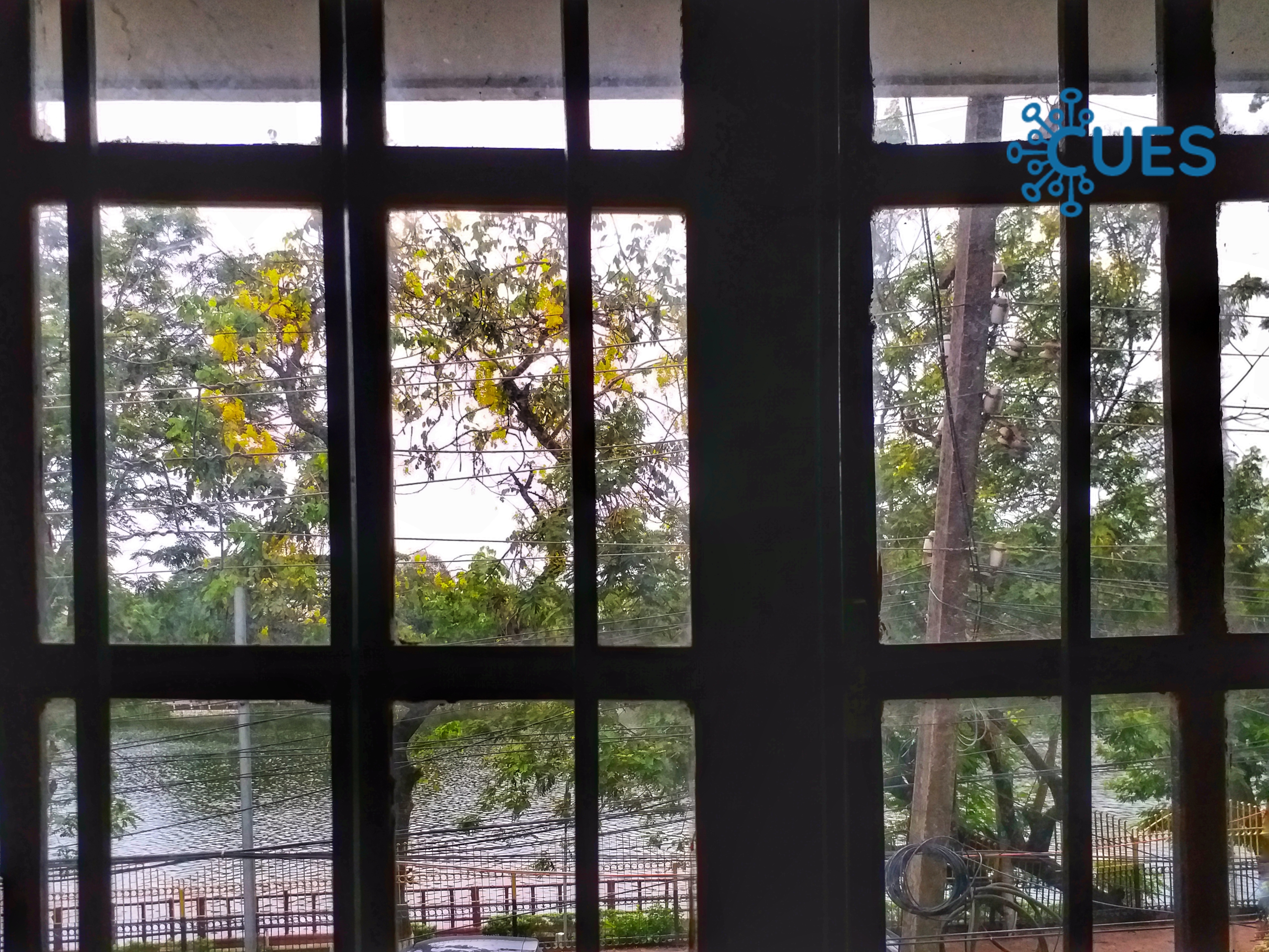 Avid Birding in Covid Times: Experience from Guwahati