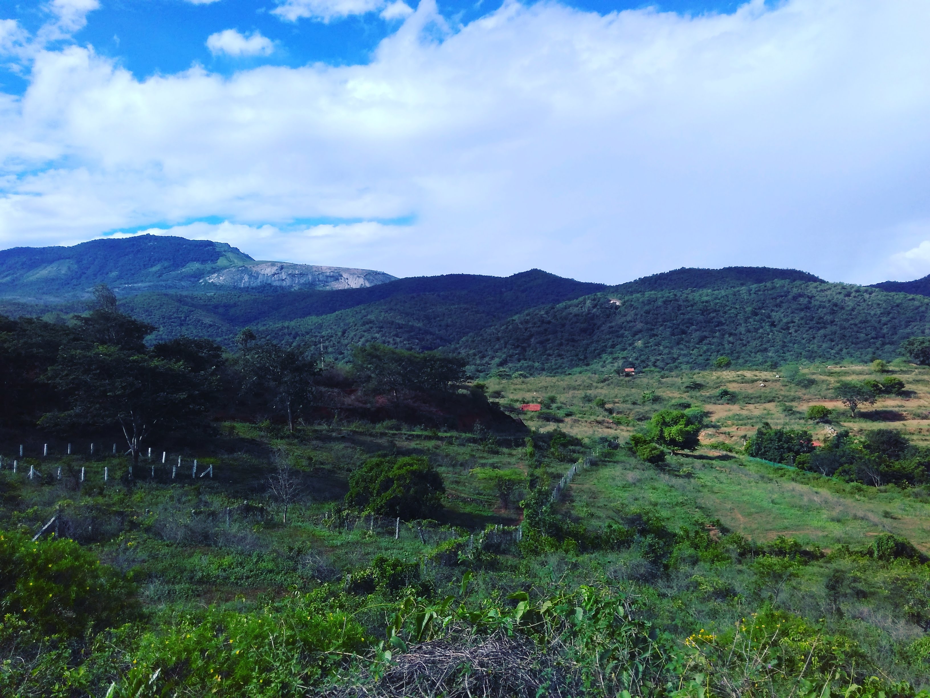 Compensatory Afforestation – Where is the Land?