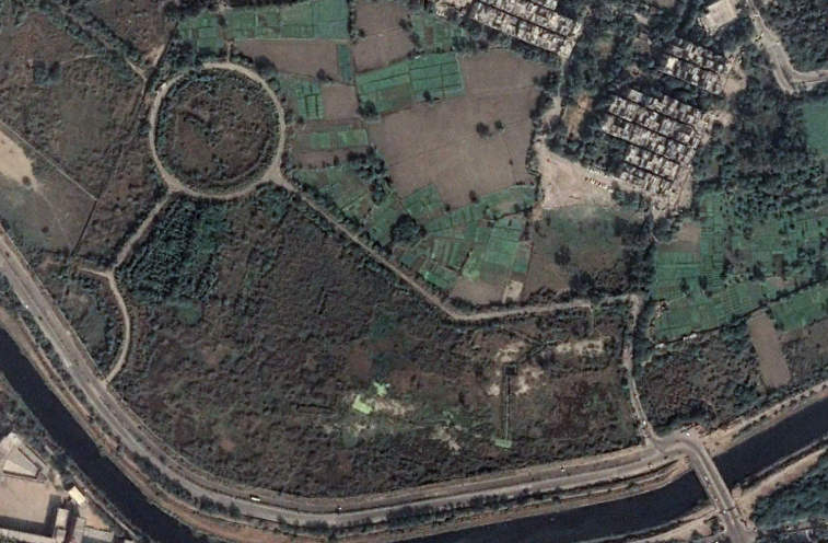 Analyzing Vegetation Cover Change in Dheerpur Wetland  Restoration Site