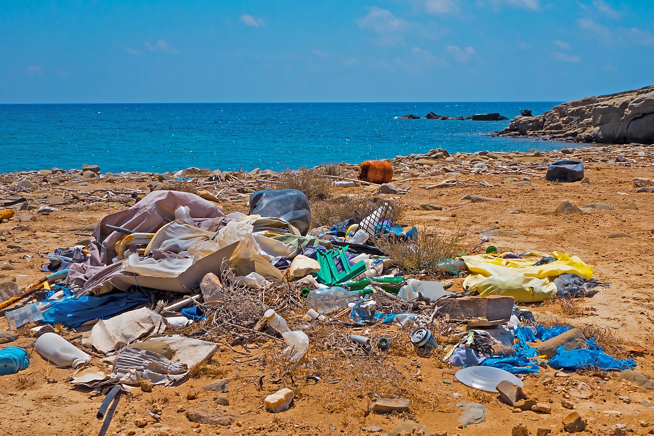 Plastic Woes and the Pandemic