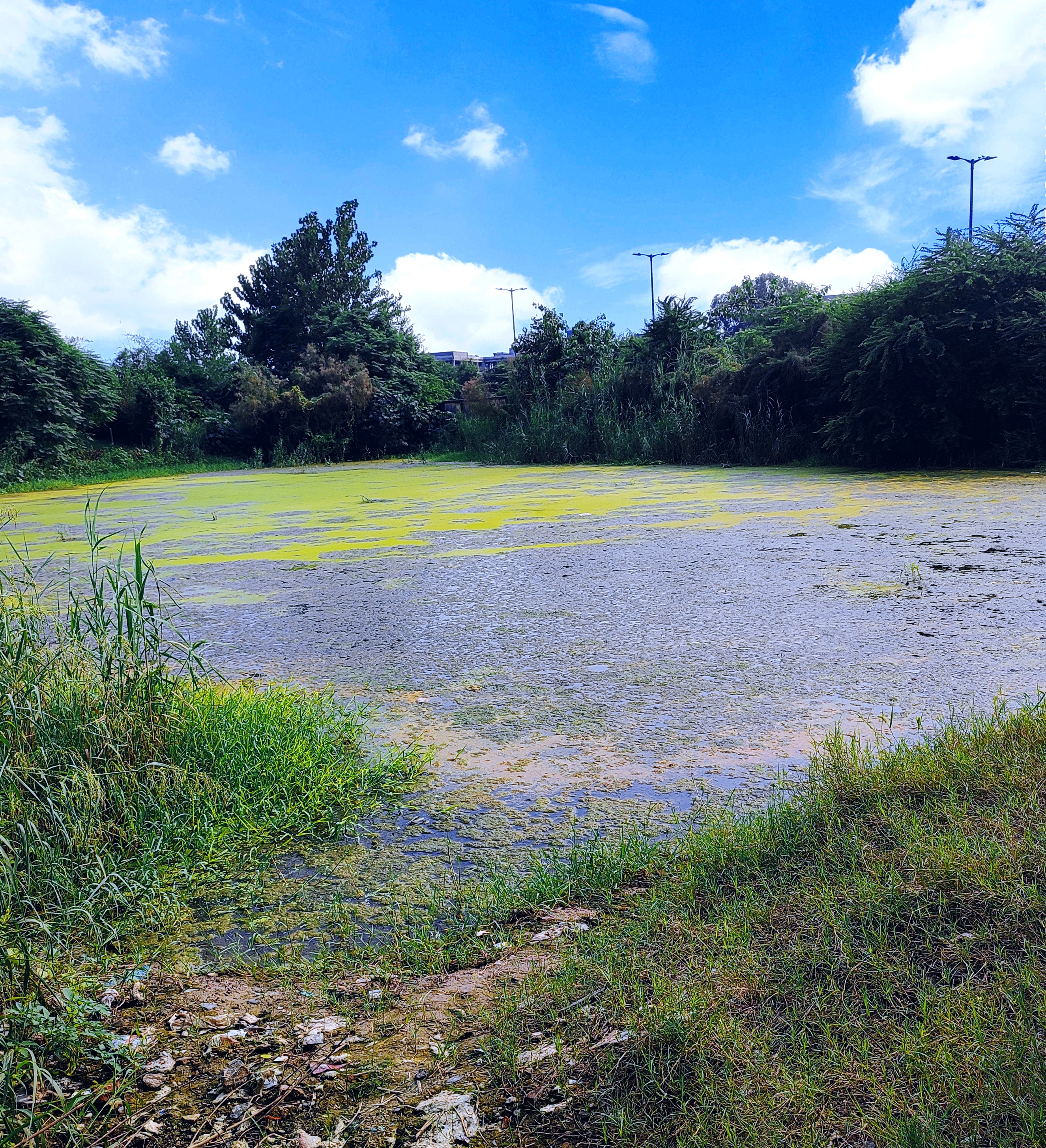 On Seeing City Water Bodies