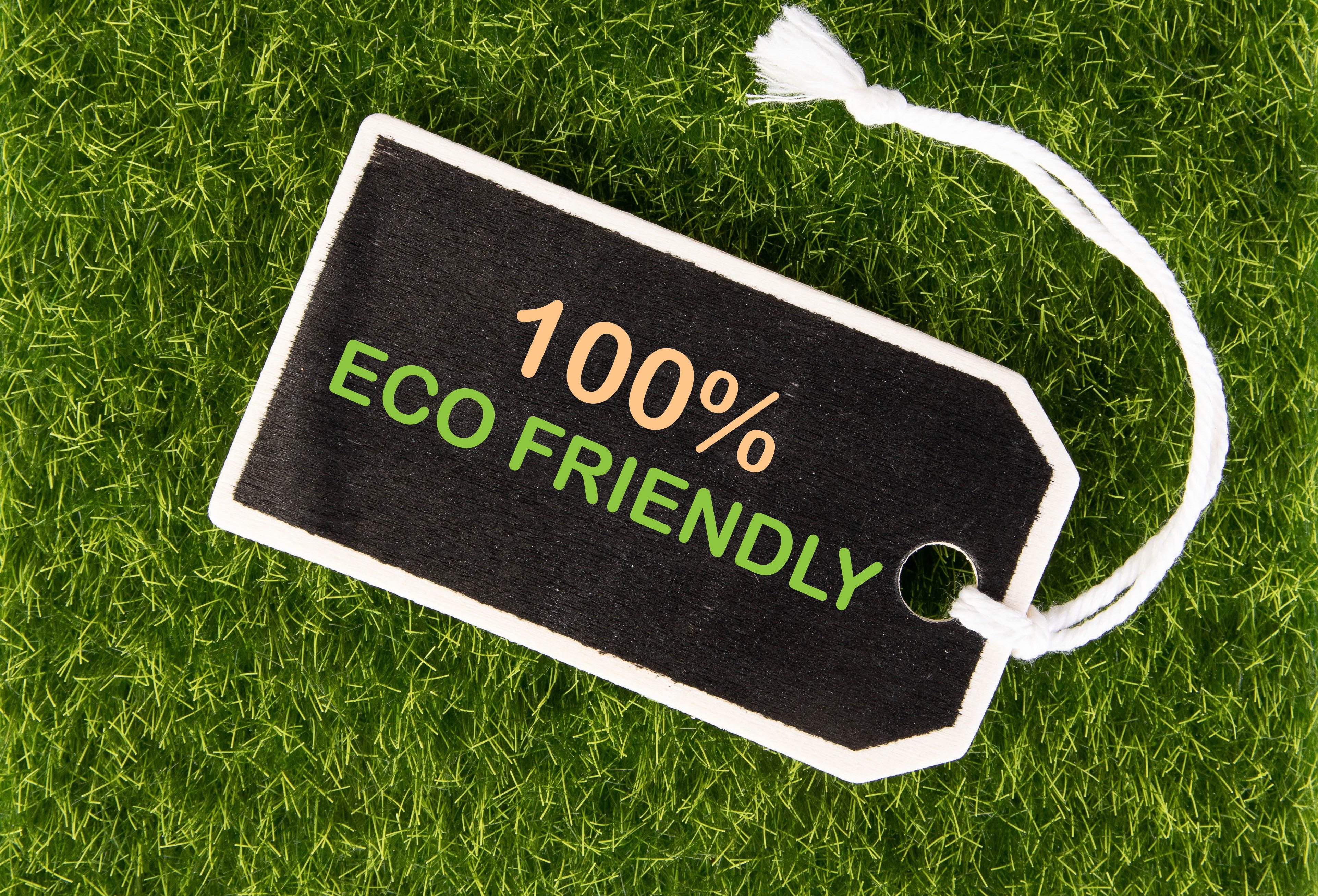 Responsible Consumerism Comes at a Cost